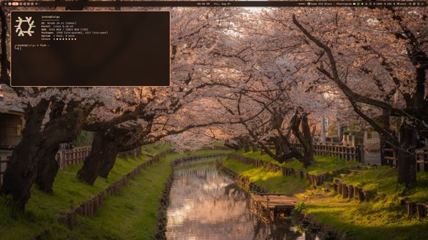 NixOS + Niri + Noctalia